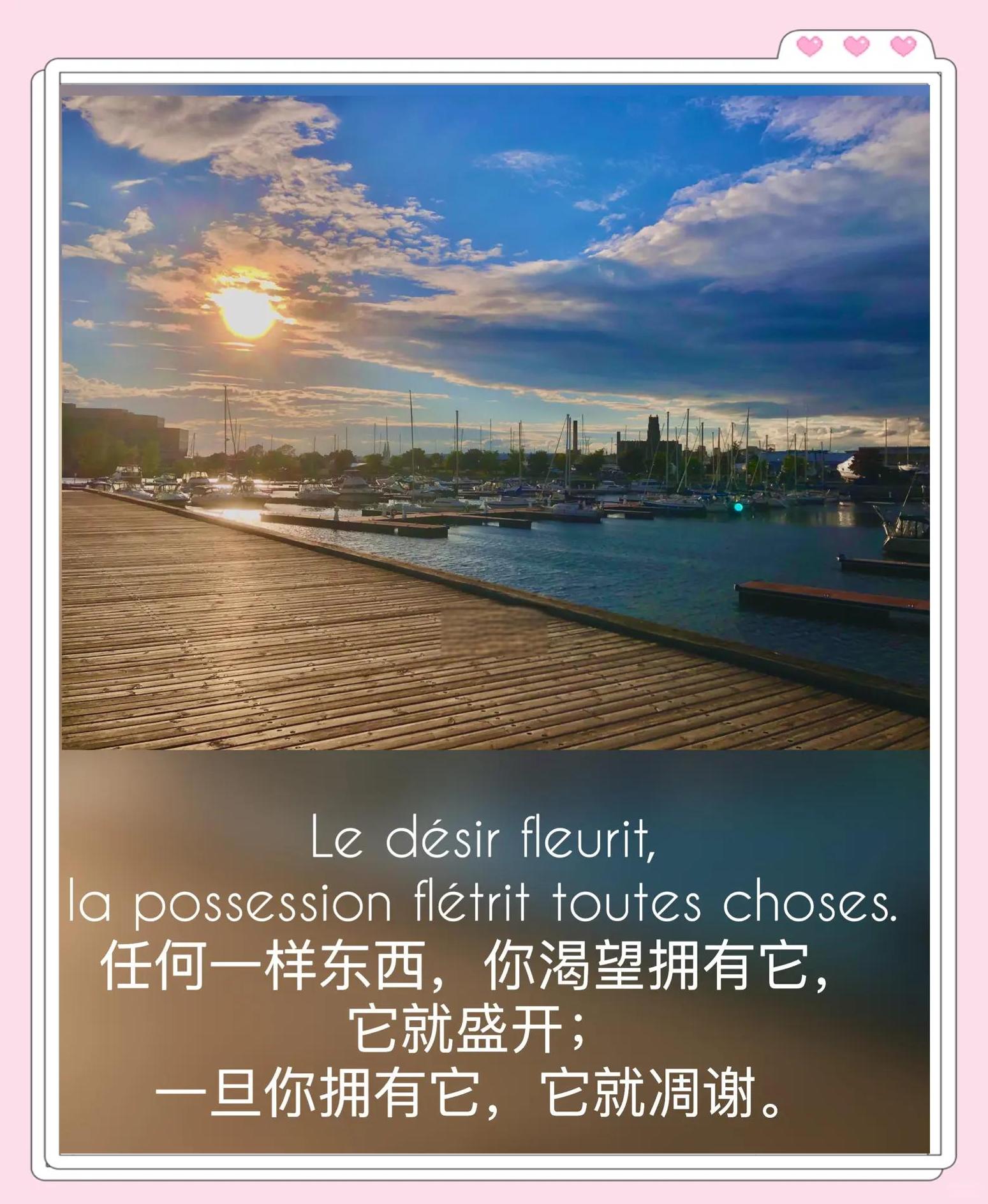 追忆的意思是什么