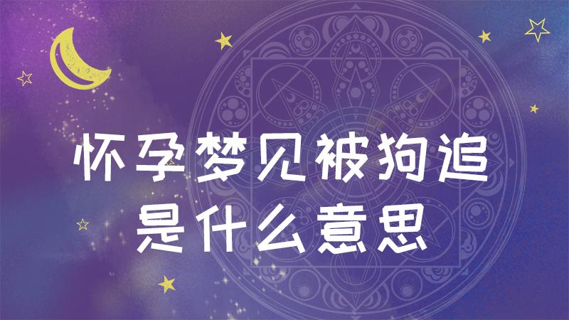 女人梦见狗追没有被咬预示着什么