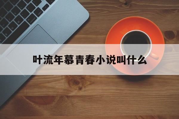 叶流年慕青春小说叫什么